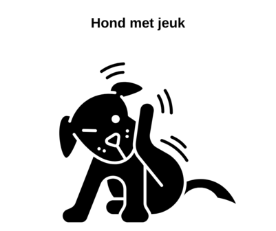 Hond Met Jeuk